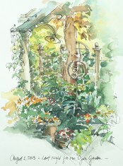 4.Last Night - Open Garden.web