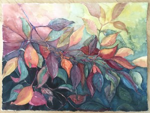 Carol_SiracuseRed Twig.web