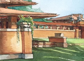 CarolSiracuse_DRMartin.web