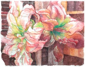 CSiracuse_SpringAmaryllis01.web