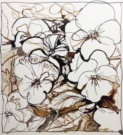 10945656_10152973364469774_160330681644190070_n