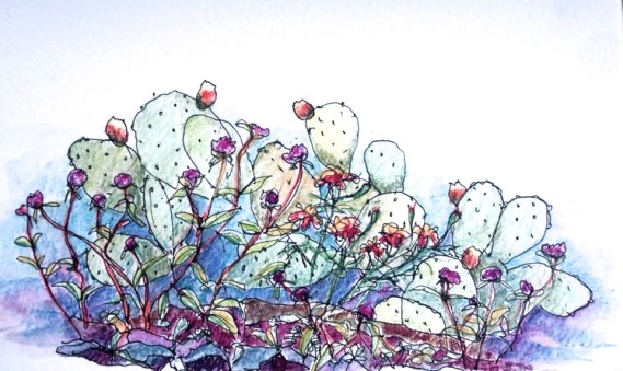 Flowers at Taormina, Sicilia